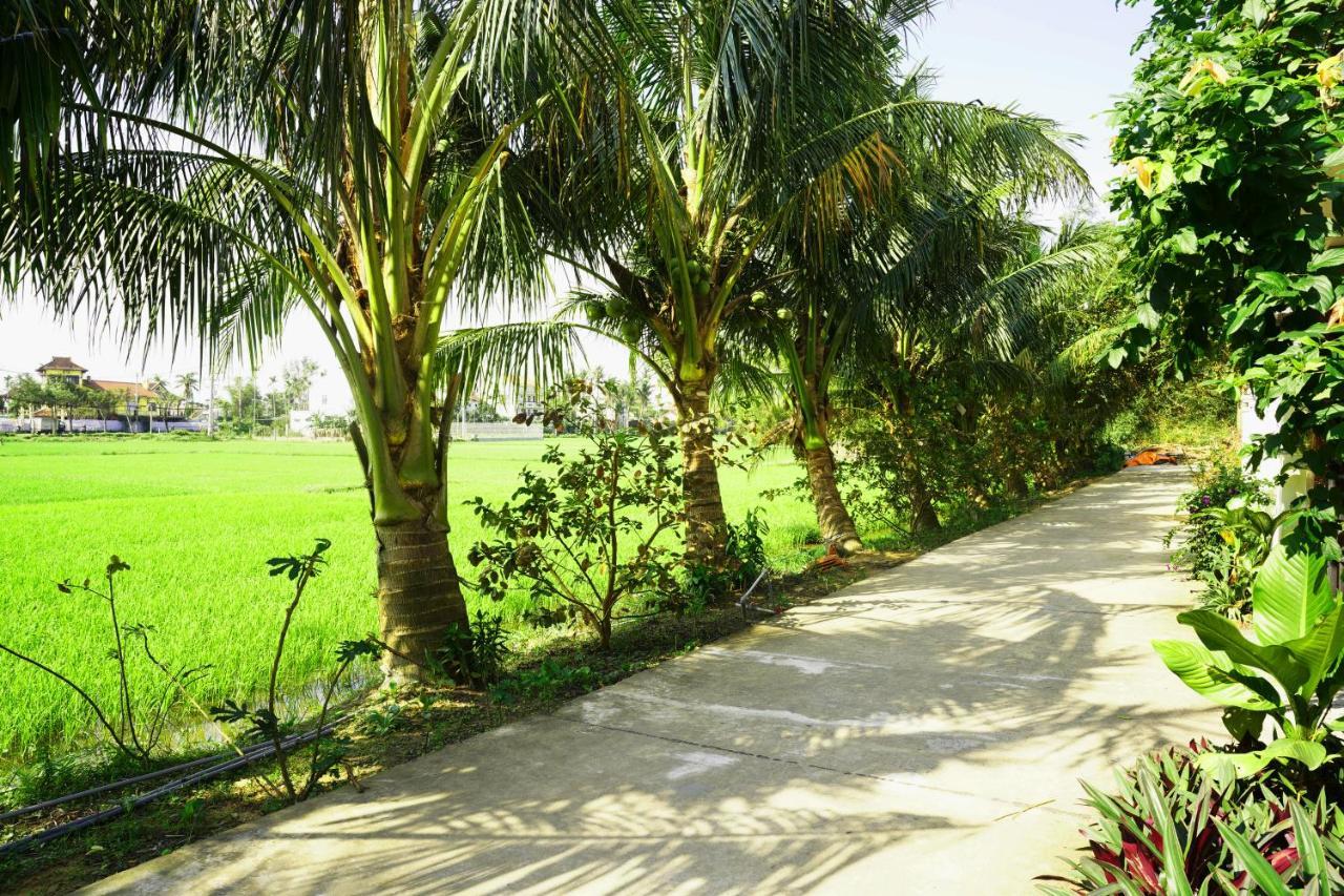 הוי אן Hoang Y Homestay מראה חיצוני תמונה