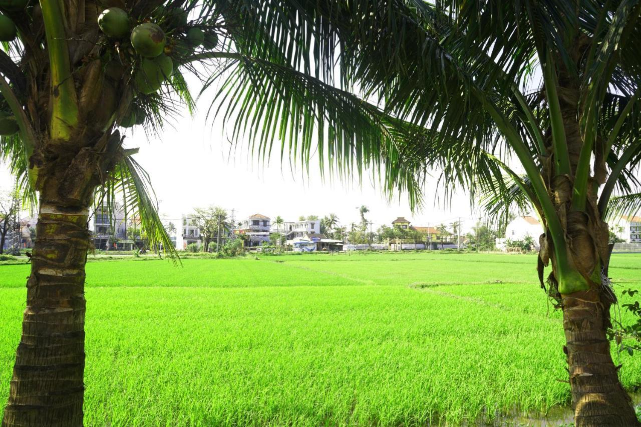 הוי אן Hoang Y Homestay מראה חיצוני תמונה